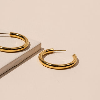 18K Gold Plated Stainless Steel Basic Hoop Earrings: Medium